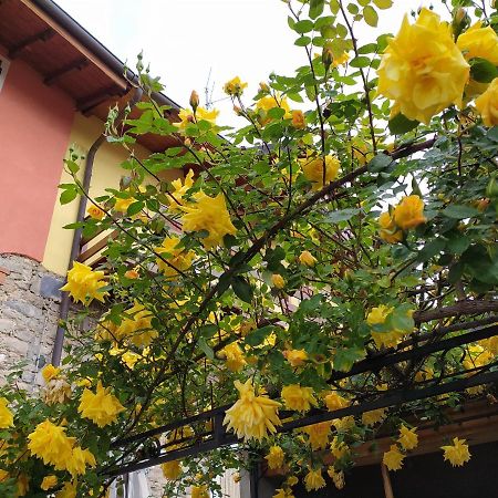 Lakes & Hills Villa Nebbiuno Exterior photo